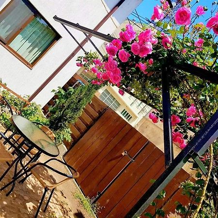 Pensiunea Casa Blanca Σουλινάς Εξωτερικό φωτογραφία