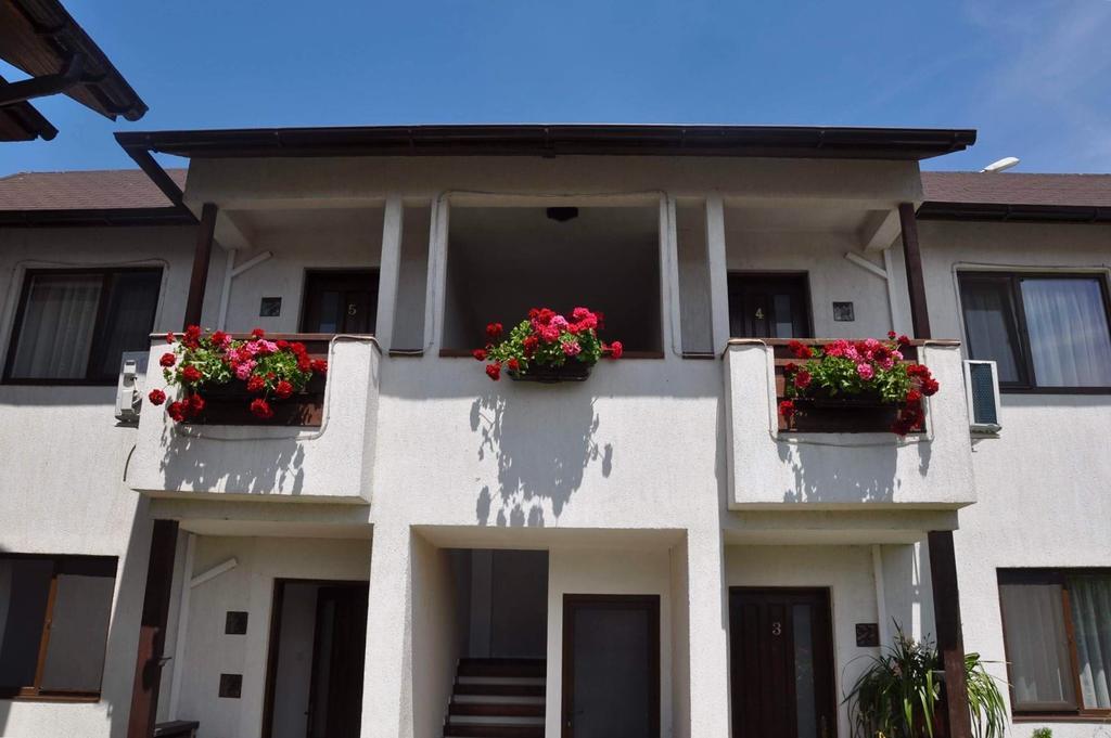Pensiunea Casa Blanca Σουλινάς Εξωτερικό φωτογραφία