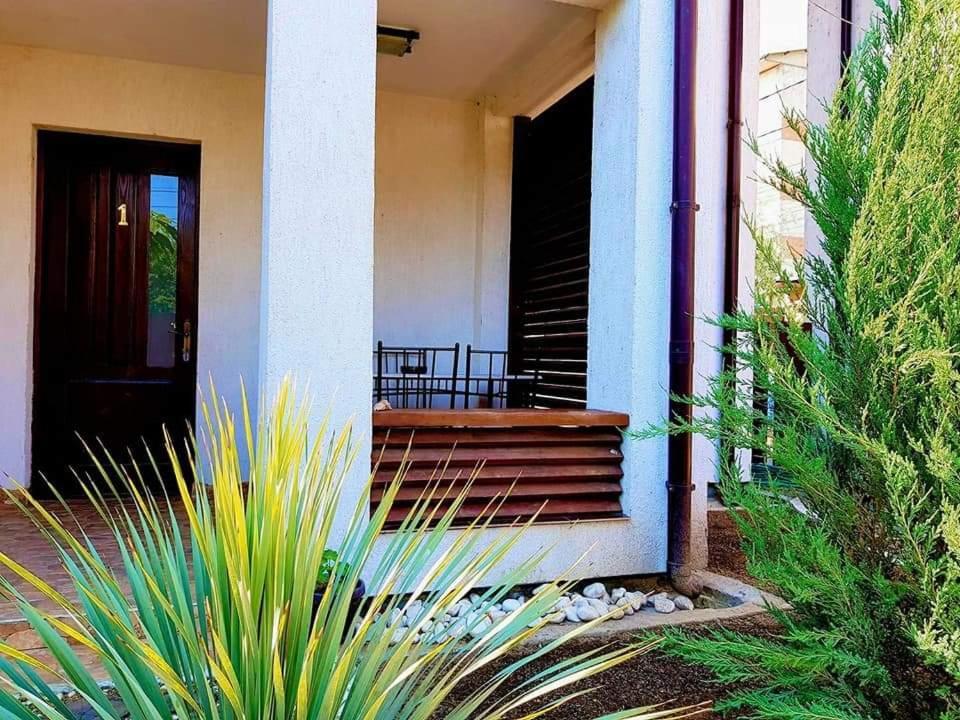 Pensiunea Casa Blanca Σουλινάς Εξωτερικό φωτογραφία